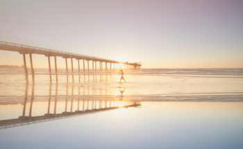 Free Photo of sun, sunny, sunrise Free Photo of sun, sunny, sunrise