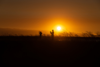 Free Photo of sunset, golden, people Free Photo of sunset, golden, people