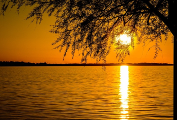 Free Photo of sunset, sunlight, sun Free Photo of sunset, sunlight, sun