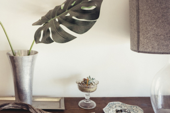 Free Photo of table, accent, vase Free Photo of table, accent, vase