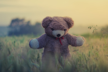 Free Photo of teddy bear, toy, child Free Photo of teddy bear, toy, child