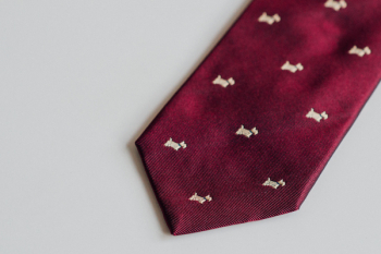 Free Photo of tie, fashion, objects Free Photo of tie, fashion, objects