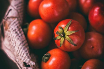 Free Photo of tomato, crops, vegetable Free Photo of tomato, crops, vegetable