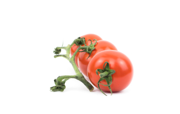 Free Photo of tomato, plant, crops Free Photo of tomato, plant, crops
