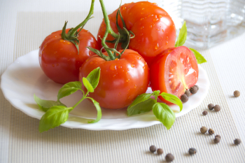 Free Photo of tomato, plant, crops Free Photo of tomato, plant, crops