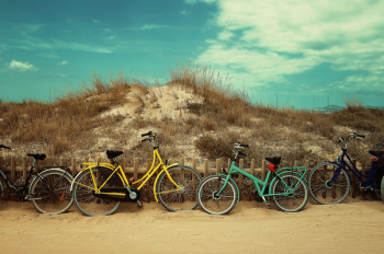 Free Photo of transportation, bicycles, wheels Free Photo of transportation, bicycles, wheels