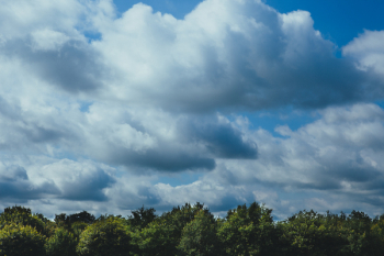 Free Photo of trees, clouds, sky