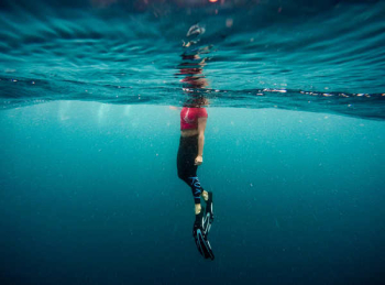 Free Photo of underwater, ocean, sea Free Photo of underwater, ocean, sea