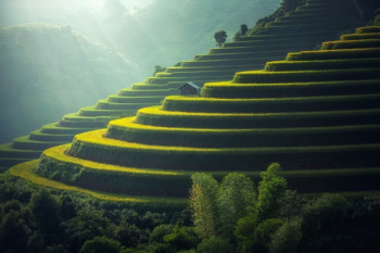 Free Photo of village, agriculture, asia Free Photo of village, agriculture, asia