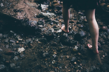 Free Photo of walking, hiking, trekking