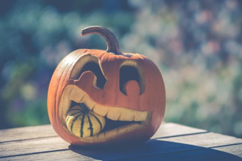 Free Photo of wallpaper, carved, halloween Free Photo of wallpaper, carved, halloween
