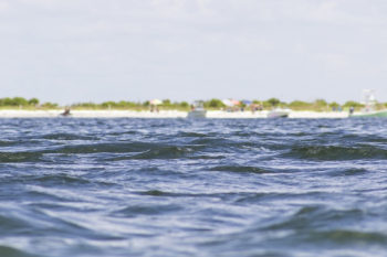 Free Photo of water, beach, summer