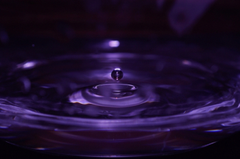 Free Photo of water, ripples, drop Free Photo of water, ripples, drop