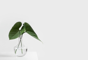 Free Photo of white, aesthetic, table Free Photo of white, aesthetic, table