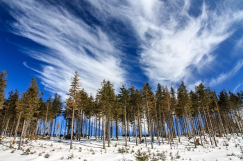 Free Photo of white, snow, winter Free Photo of white, snow, winter