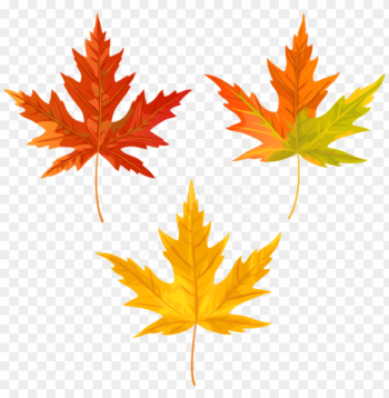 free png download orange fall leaves clipart png photo - maple ...