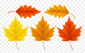 Free Png Download Set Fall Leaves Clipart Png Photo - Maple Leaf Free Png Download Set Fall Leaves Clipart Png Photo - Maple Leaf