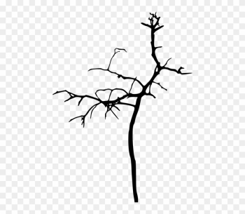 Free Png Simple Bare Tree Silhouette Png Images Transparent - Tree