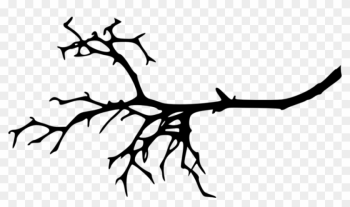 Free Png Tree Branch Silhouette Png Images Transparent - Tree Branch Silhouette Png