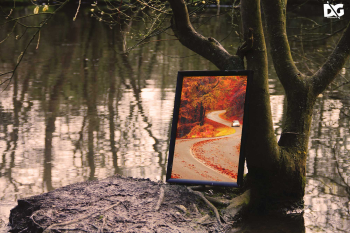 Free Poster Mockup