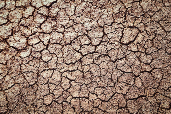 Free public domain CC0 photo. | Free Photo - rawpixel Free public domain CC0 photo. | Free Photo - rawpixel