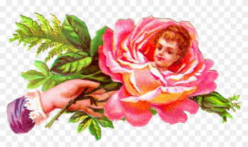 Free Rose Graphic - Love Rose Scrap Free Rose Graphic - Love Rose Scrap
