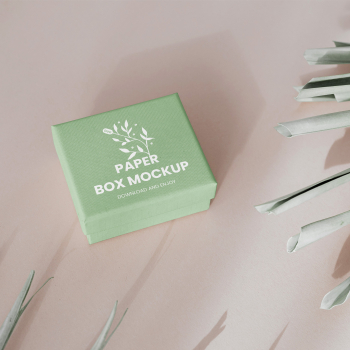 Free Small Gift Box Mockup