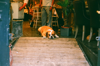 Free stock photo of 35mm, 35mm film, analog photography Free stock photo of 35mm, 35mm film, analog photography