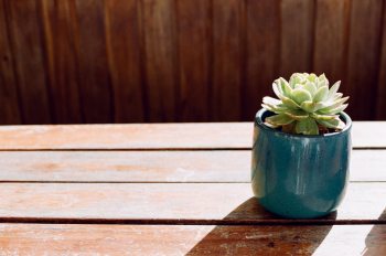 Free stock photo of 35mm, 35mm film, analog photography Free stock photo of 35mm, 35mm film, analog photography