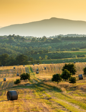 Free stock photo of agriculture, country, countryside Free stock photo of agriculture, country, countryside