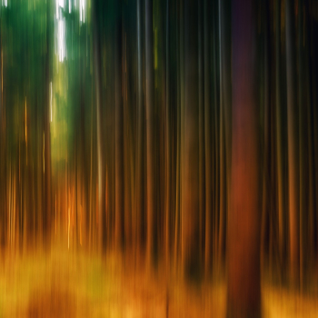 Free stock photo of art, artistic, blur Free stock photo of art, artistic, blur