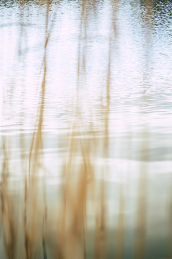 Free stock photo of art, beautiful, beauty Free stock photo of art, beautiful, beauty