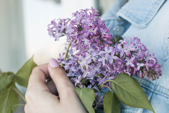 Free stock photo of beautiful, blooming, bouquet Free stock photo of beautiful, blooming, bouquet
