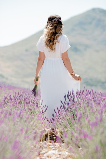Free stock photo of beauty, bloom, blossom Free stock photo of beauty, bloom, blossom