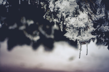 Free stock photo of black and white, blur, blurred background Free stock photo of black and white, blur, blurred background