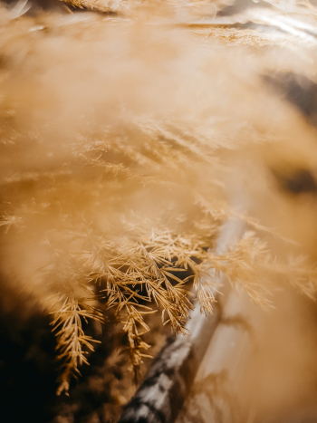 Free stock photo of blur, blurred background, bright Free stock photo of blur, blurred background, bright