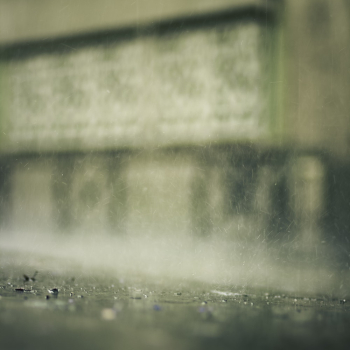 Free stock photo of blur, blurred background, close-up Free stock photo of blur, blurred background, close-up