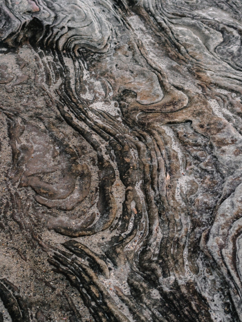 Free stock photo of brown, close-up, colors Free stock photo of brown, close-up, colors