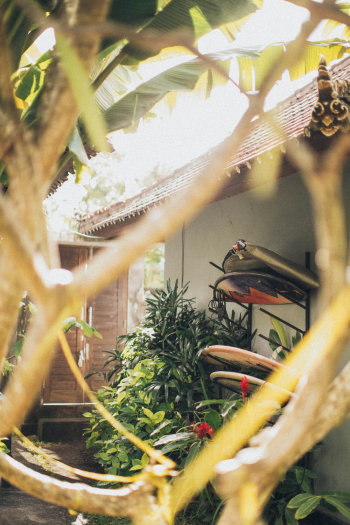 Free stock photo of close-up, colors, daylight Free stock photo of close-up, colors, daylight