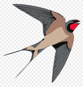 Free Tiger Clipart - Swallow Clipart Free Tiger Clipart - Swallow Clipart