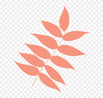 Free Vector Graphic - Autumn Leaves Png Icon