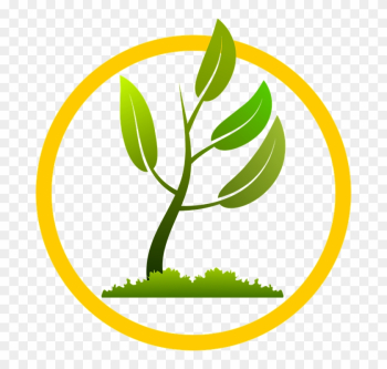 Free Vector Graphic - Small Plant Growing Png