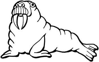 Free Walrus Pictures, Download Free Clip Art, Free Clip Art on ...