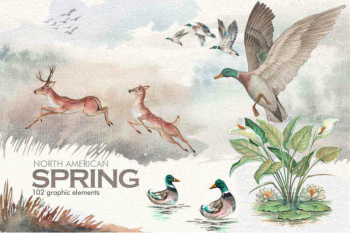 FREE Watercolor North American Spring By TheHungryJPEG | TheHungryJPEG.com FREE Watercolor North American Spring By TheHungryJPEG | TheHungryJPEG.com