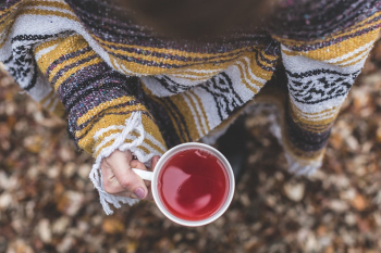 Free woman hands holding pink | Free Photo - rawpixel