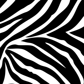 Free Zebra Background, Download Free Clip Art, Free Clip Art on ...