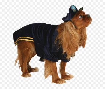 French Bulldog Puppy Hair clipper Cat Pet - Cute dog clothes 