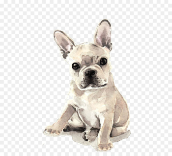French Bulldog Puppy Watercolor painting Fawn - dog French Bulldog Puppy Watercolor painting Fawn - dog
