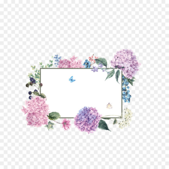 French hydrangea Flower - Bouquet border download French hydrangea Flower - Bouquet border download