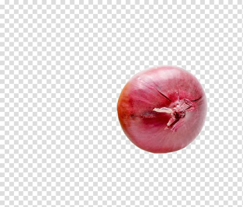 French onion soup Organic food Vegetable, onion transparent background PNG clipart French onion soup Organic food Vegetable, onion transparent background PNG clipart